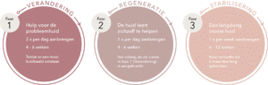 DemoDerm - 3 Phase Approach