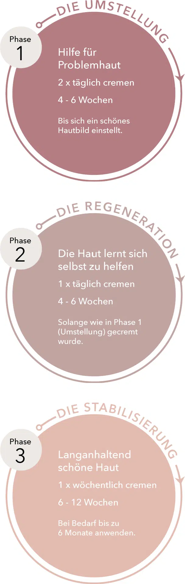 DemoDerm - 3 Phasen Anwendung